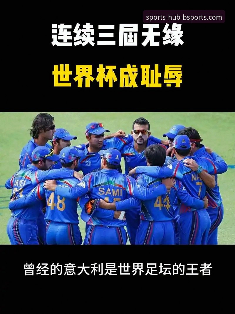 意大利无缘世界杯深度解析与观赛平台体验分享